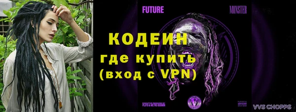 дурь Новодвинск