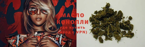 гашик Новокубанск