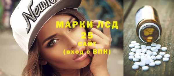 гашик Новокубанск