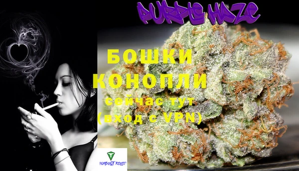 дурь Новодвинск