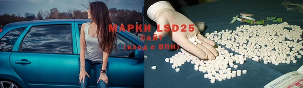 дурь Новодвинск
