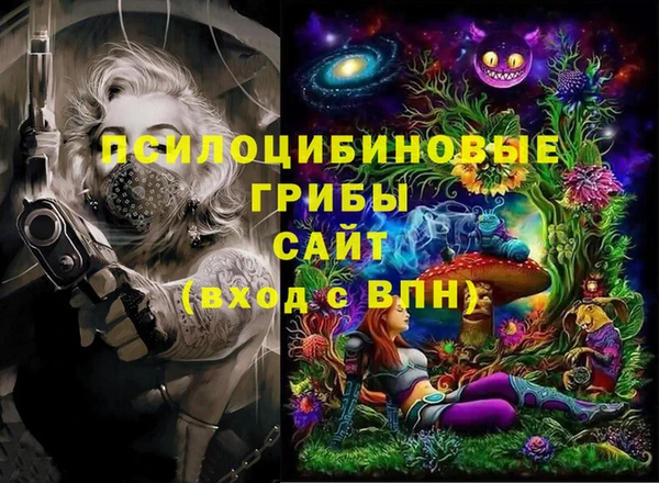дурь Новодвинск