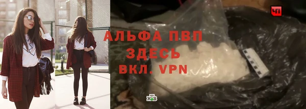 гашик Новокубанск
