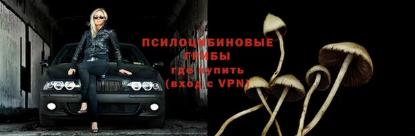 гашик Новокубанск