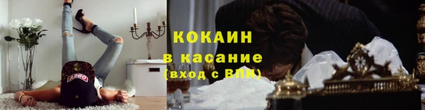 дурь Новодвинск