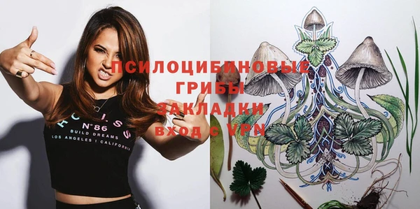 дурь Новодвинск