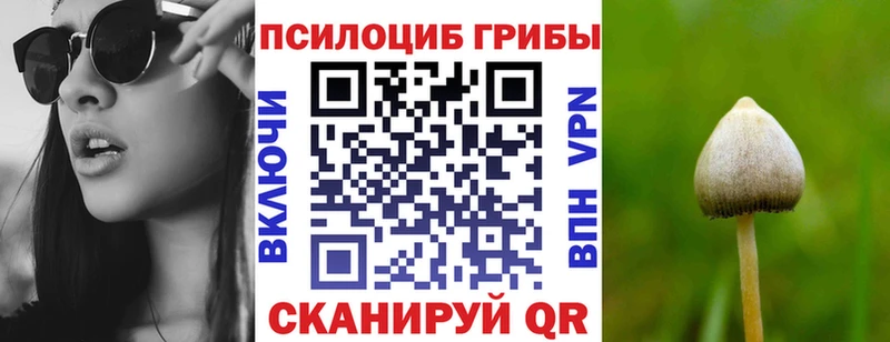 Купить  Ишимбай  Псилоцибиновые грибы ЛСД 
